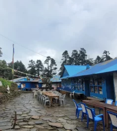 Deurali before Ghorepani from tadapani