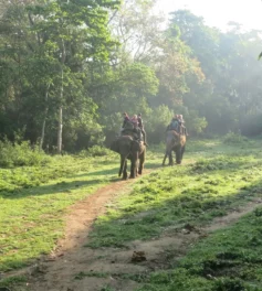 Family Tour in Nepal