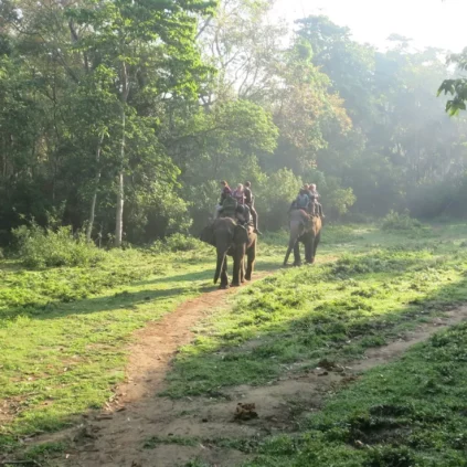 Family Tour in Nepal