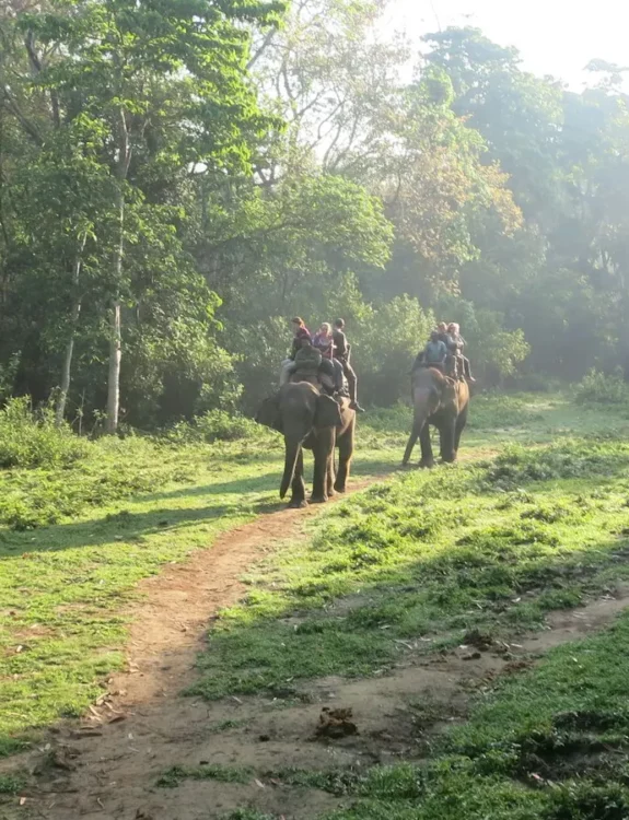 Family Tour in Nepal