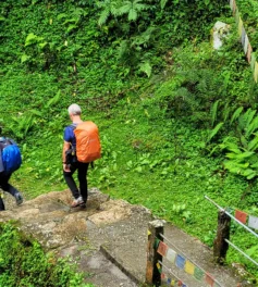 tadapani to ghorepani trail