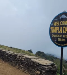 Way to ghorepani from Tadapani