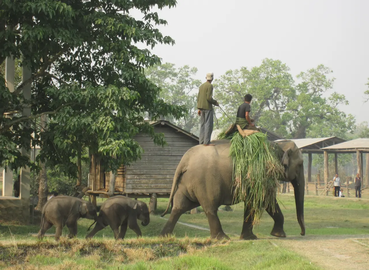 Chitwan National Park